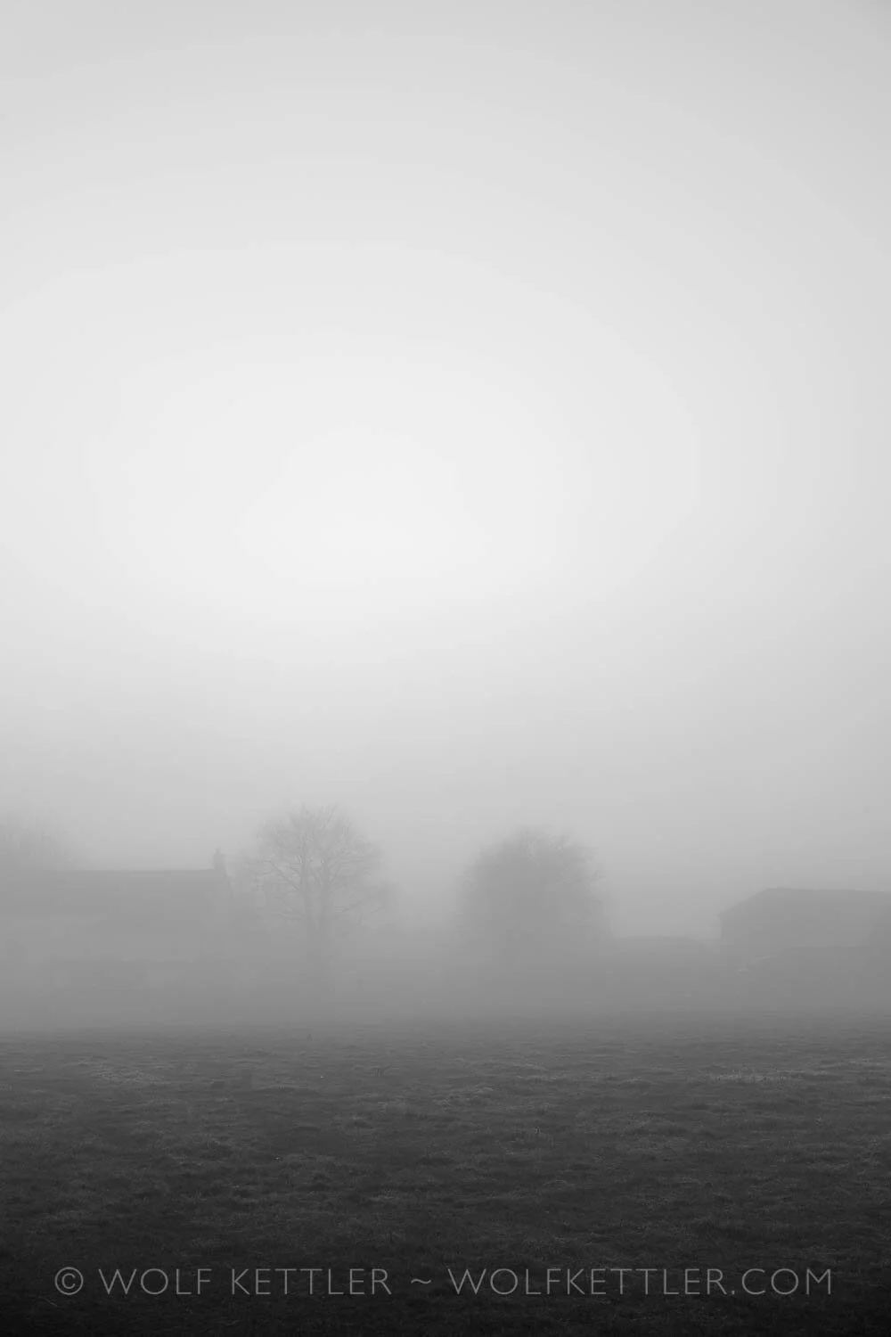 Fog Two - Impermanent Landscapes Art Photography Prints