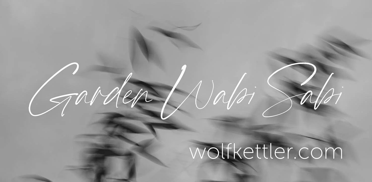 10867-035-banner(c)Wolf-Kettler.jpg