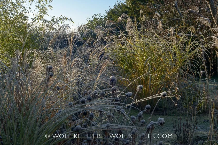 Explore the seasons in The Imperfect Garden