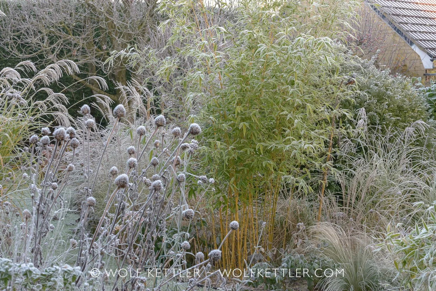 Winter in The Imperfect Garden
