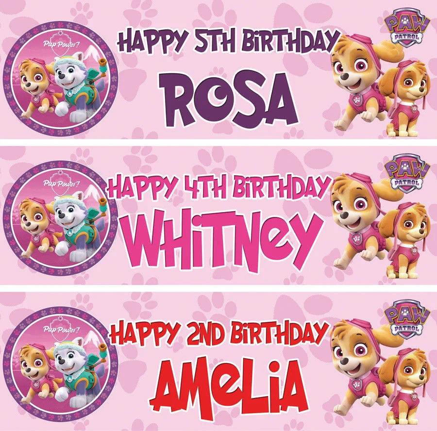 Paw Patrol Girl Banner.jpg