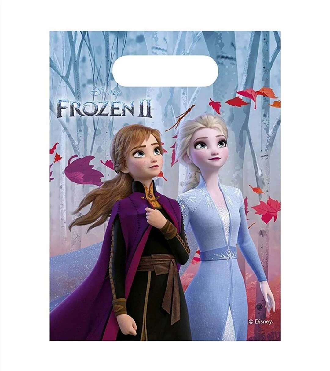 Frozen 2 Party Bags.jpg