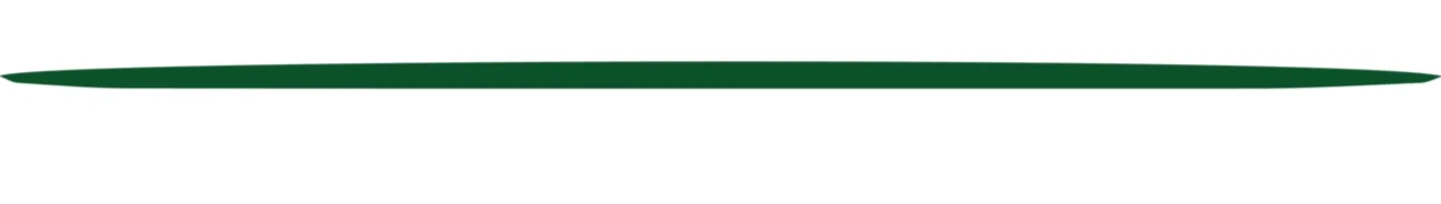 LGA+underline.jpg