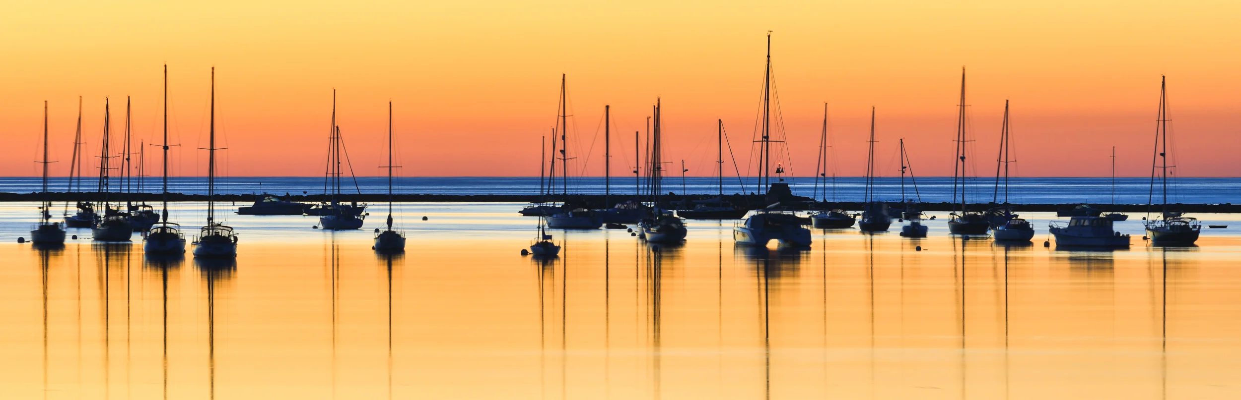 DSC_0554-Edit.jpg