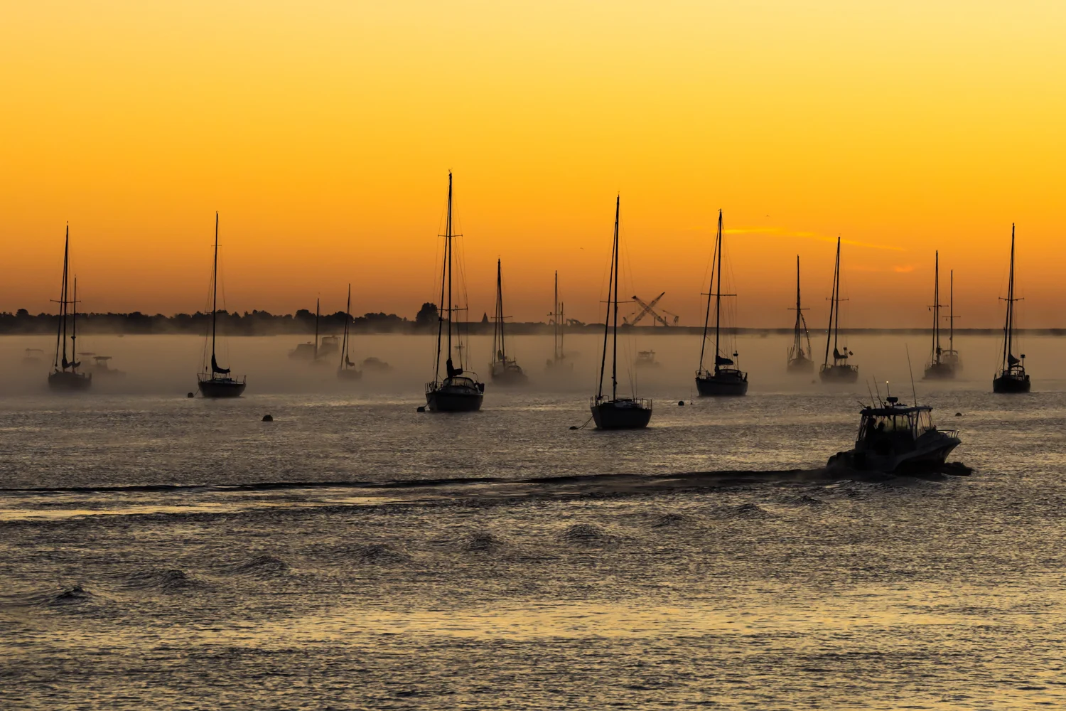 DSC_4086-3.jpg