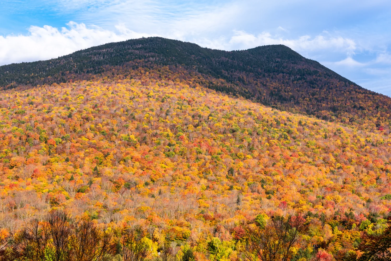 White Mountains Foliage October 2018.jpg