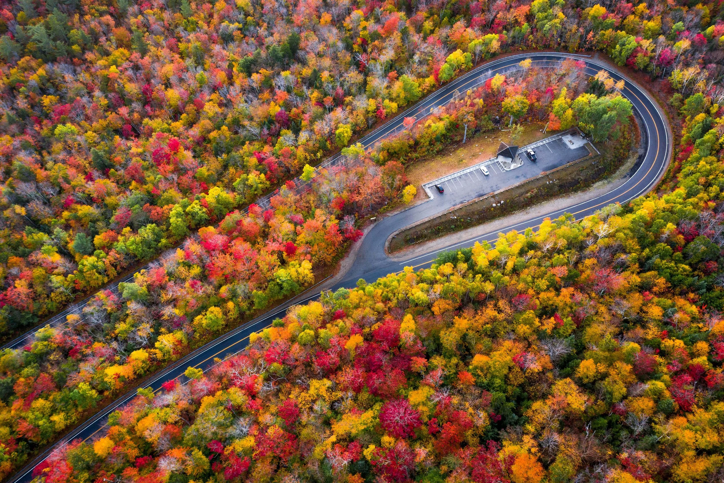 White Mounatin NH Foliage 3.jpg