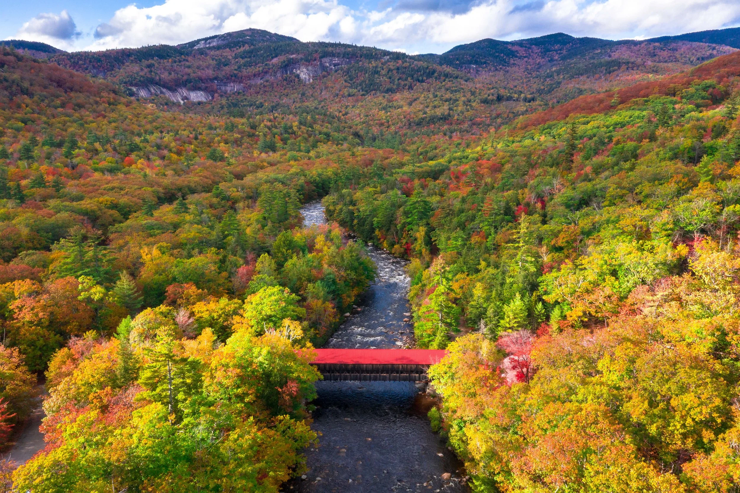 White Mountain NH Foliage 1.jpg