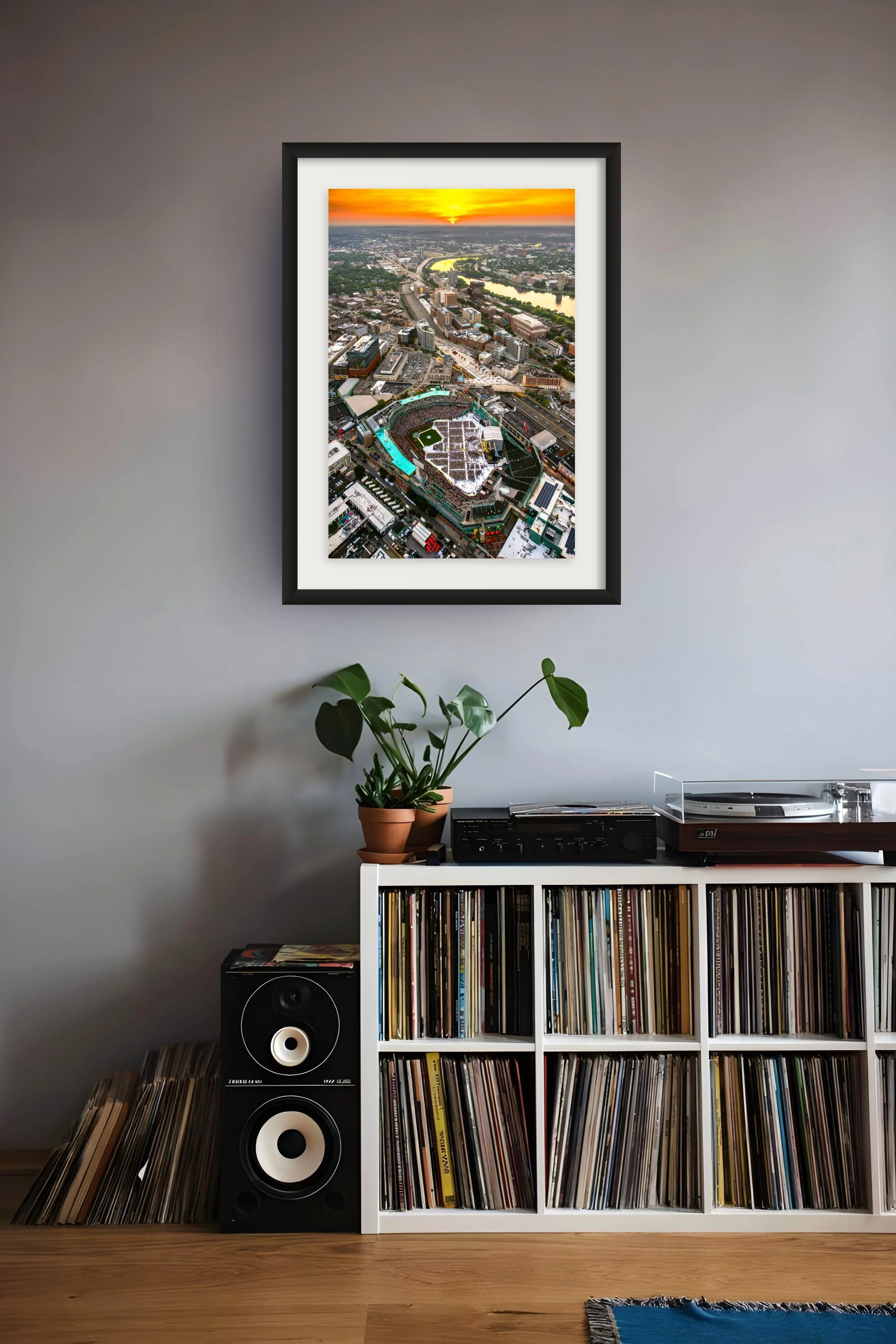 fenway concert-full.jpg