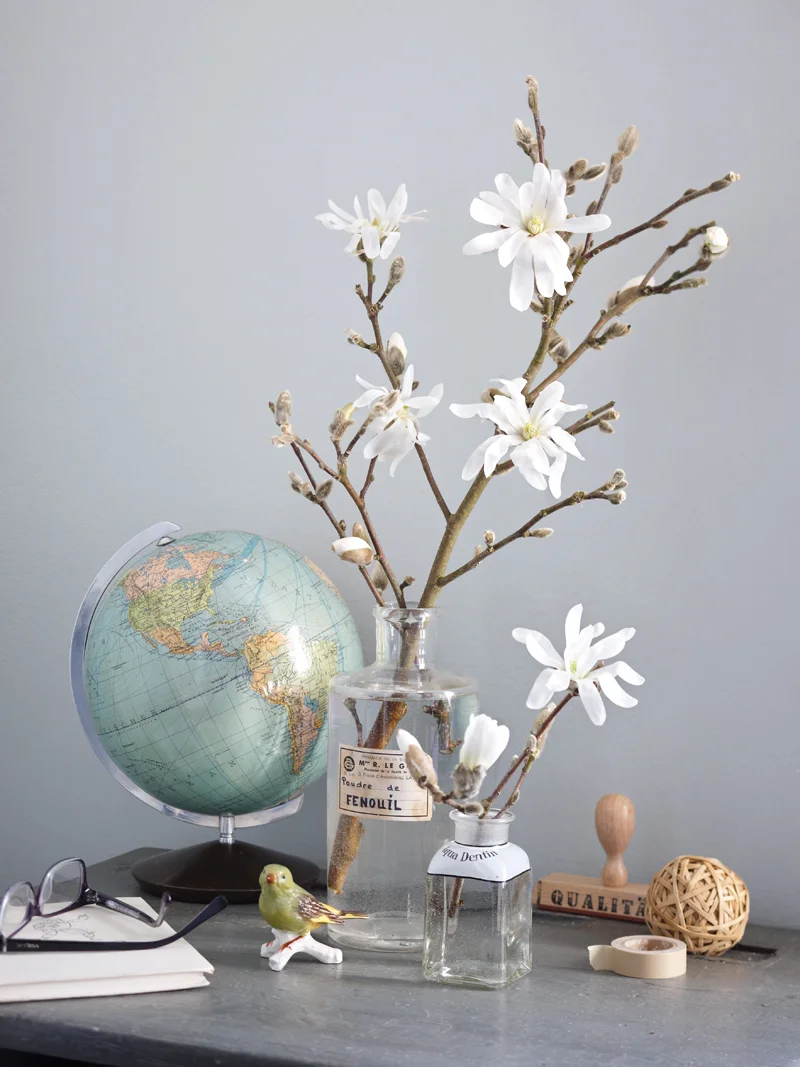 LAH_Magnolien_0177.jpg