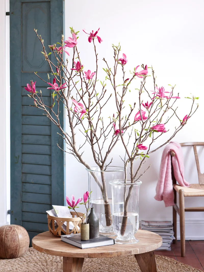 LAH_Magnolien_0346.jpg