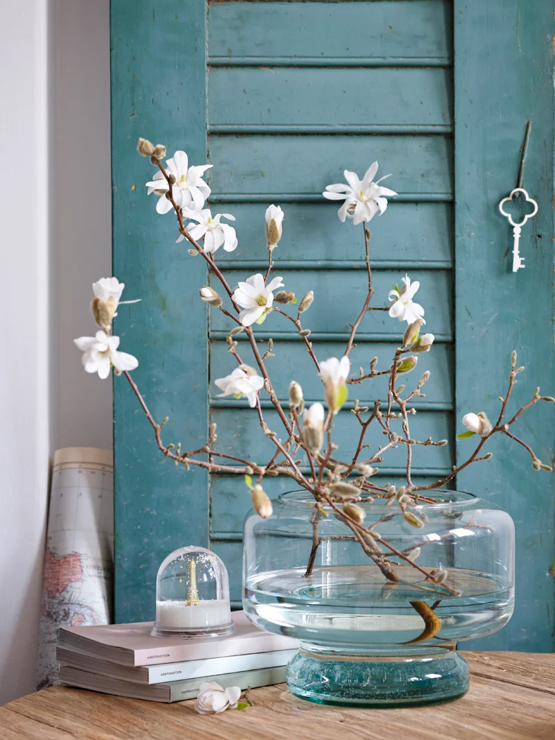 LAH_Magnolien_0453.jpg