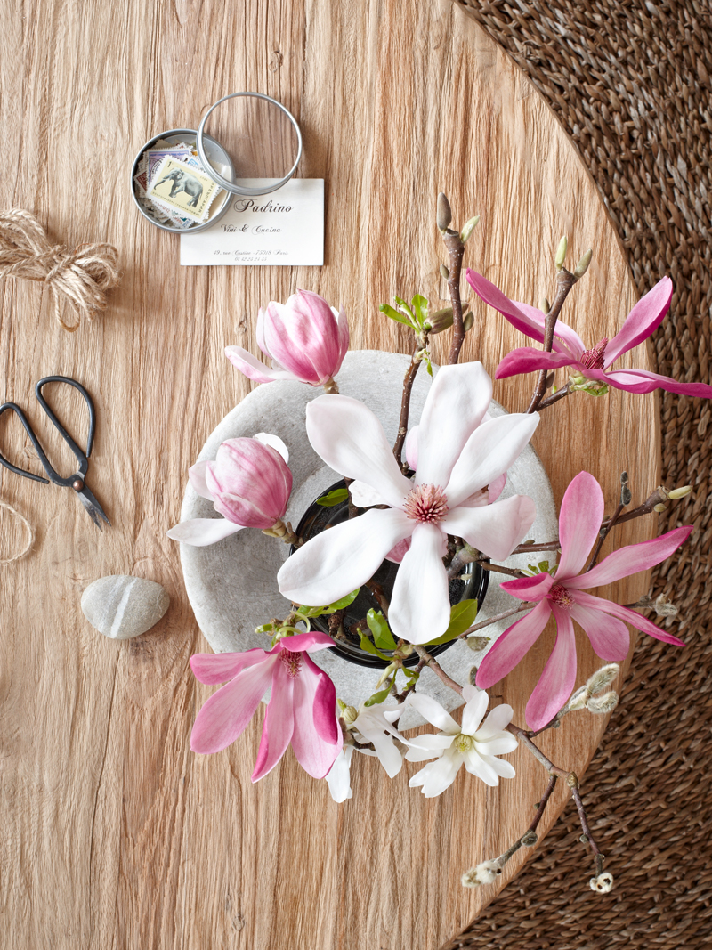 LAH_Magnolien_0618.jpg