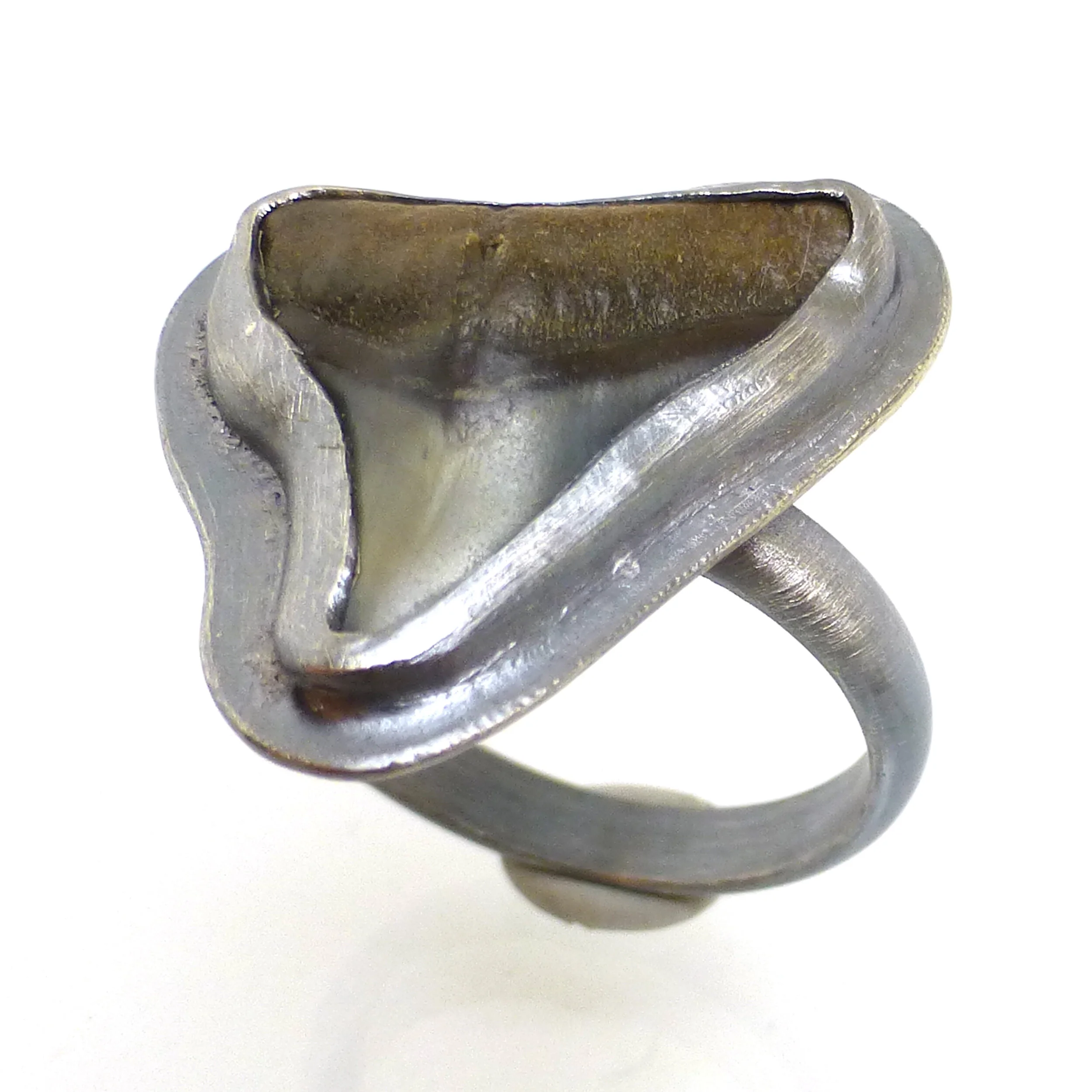 Fossilized Shark Tooth Ring in Sterling Silver  - Size 8.25