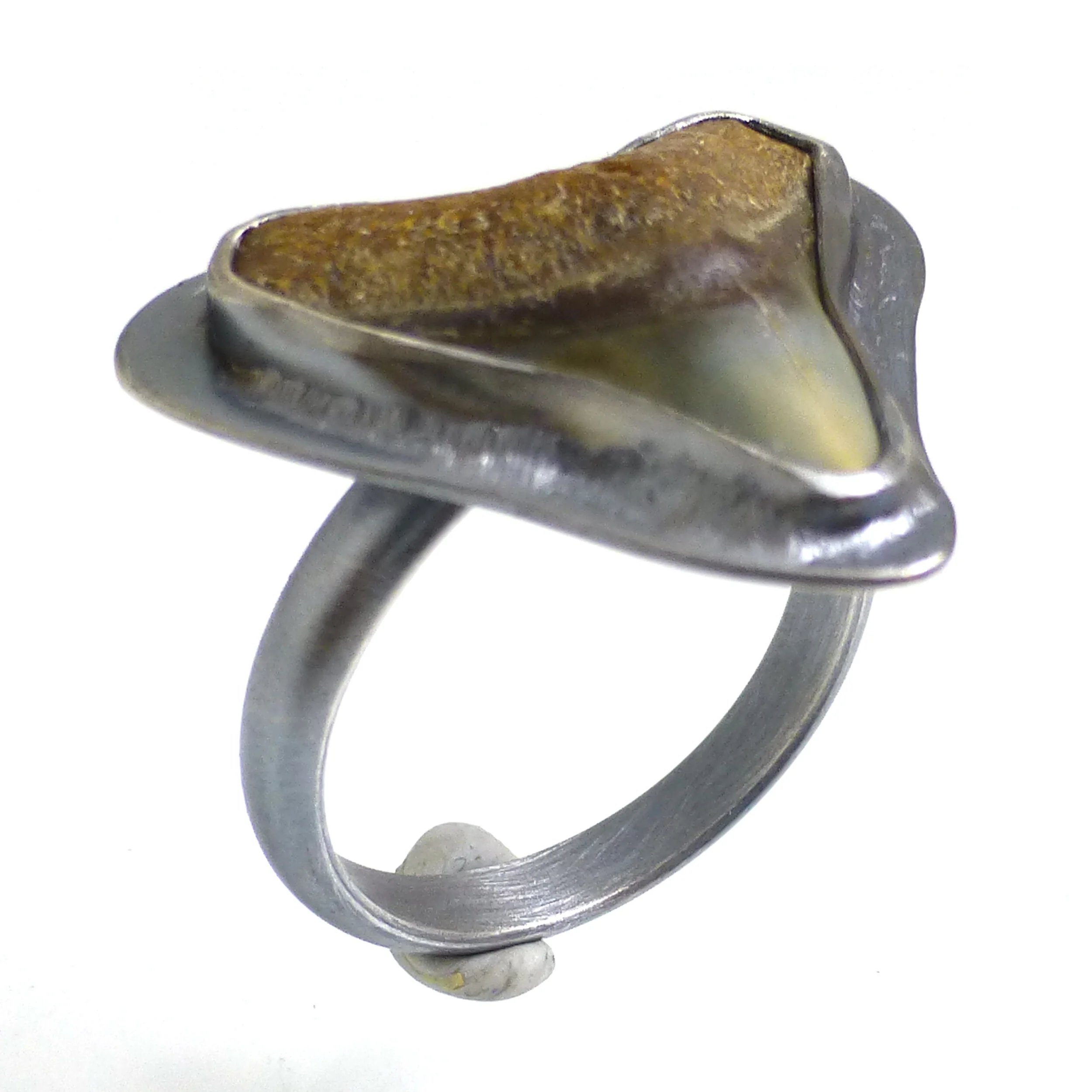 Fossilized Shark Tooth Ring in Sterling Silver  - Size 8.5 