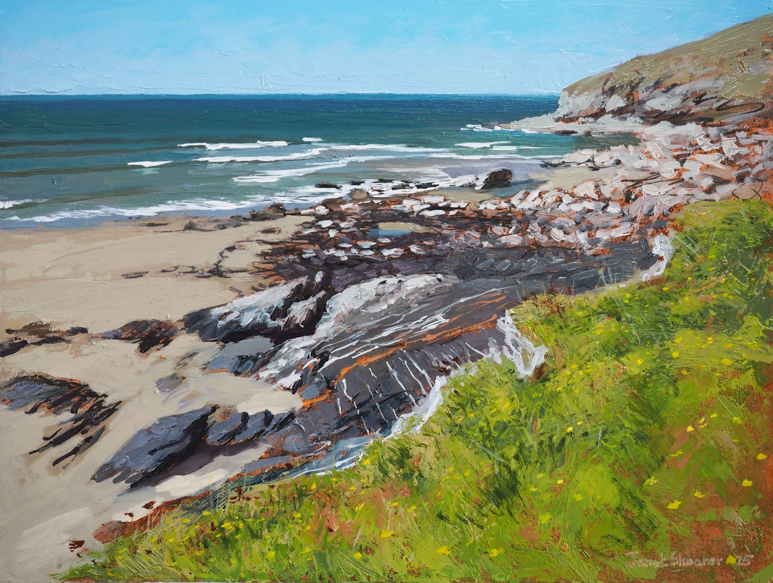 Tregardock in spring £1150.00