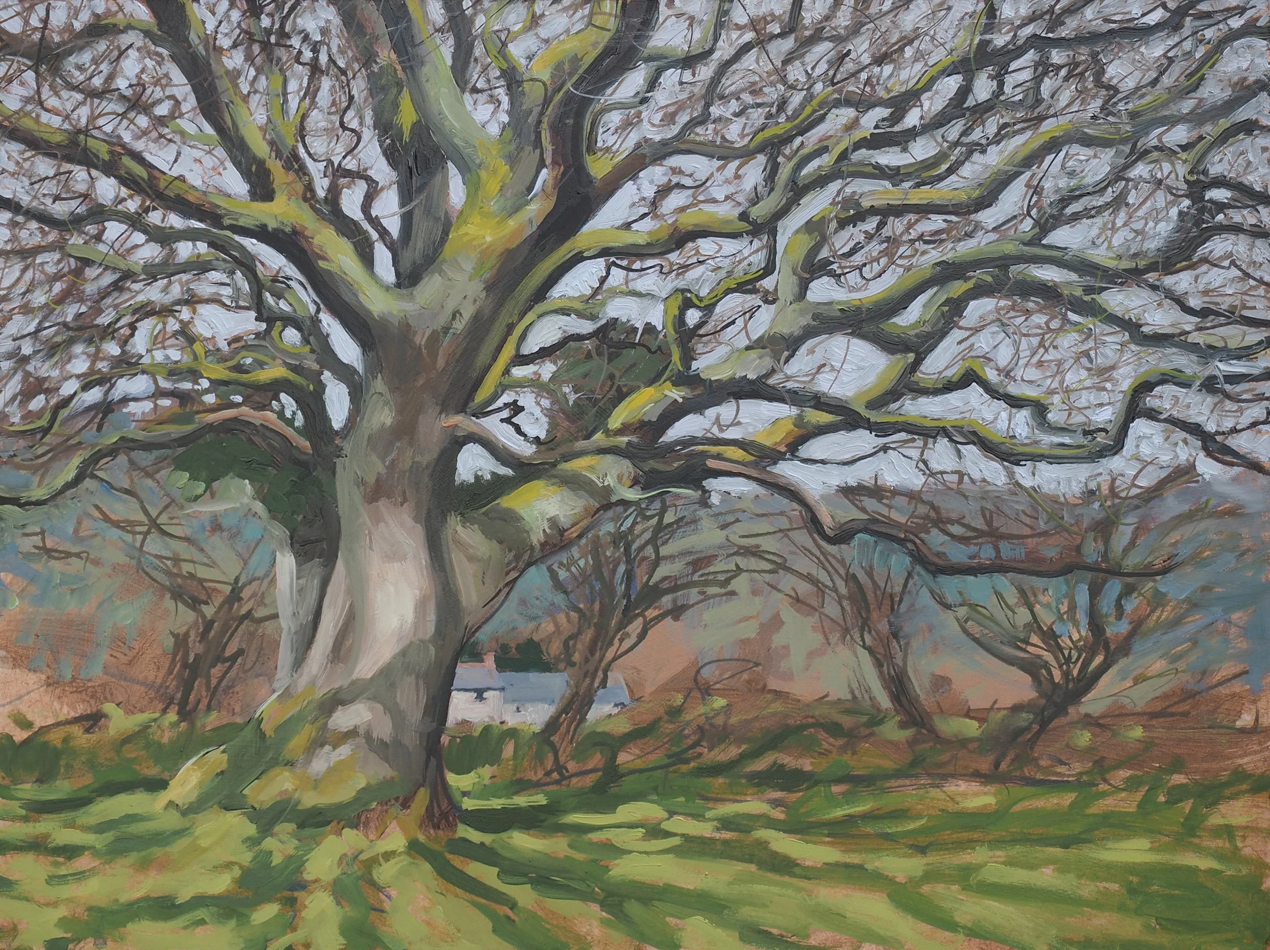 Sunny day at Pleasant Streams £550.00