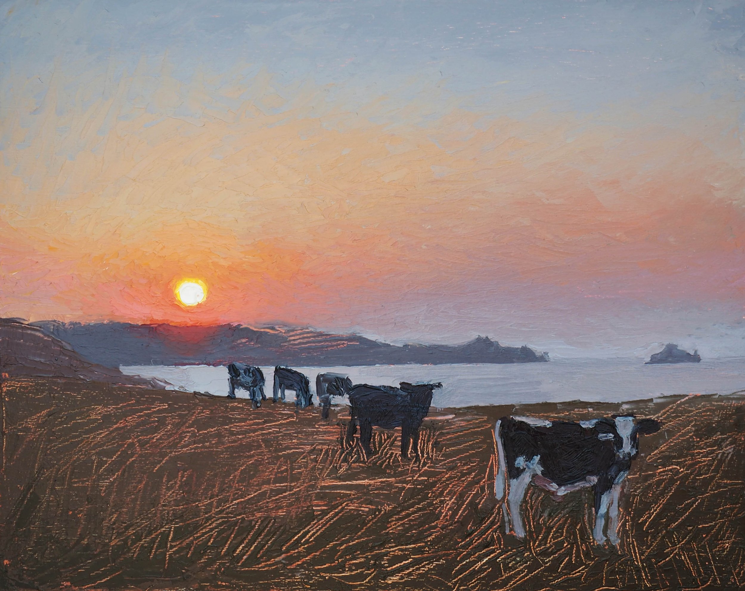 Young cattle at dusk £575.00
