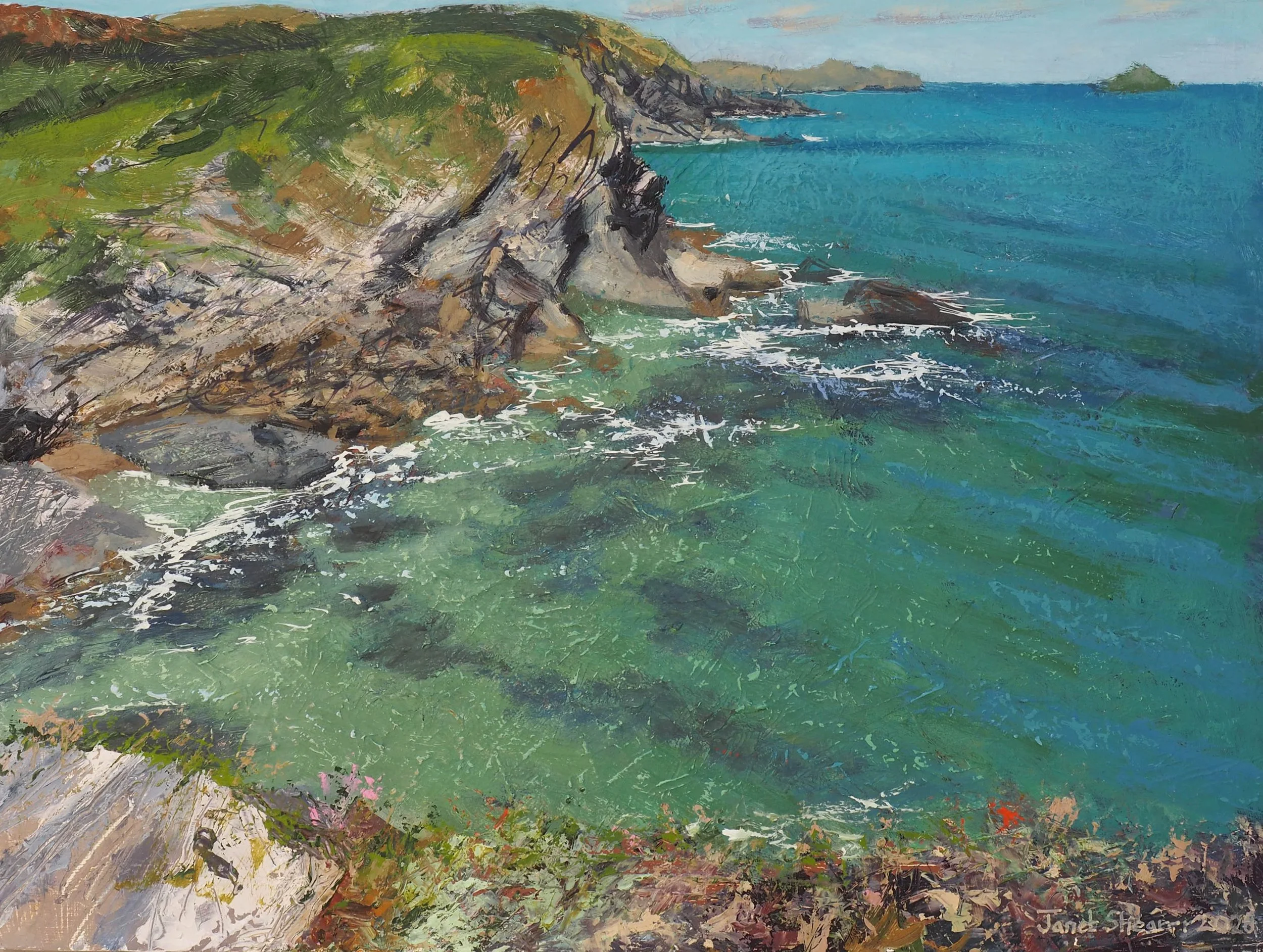 Spring at Lundy Bay £1550.00 at the studio