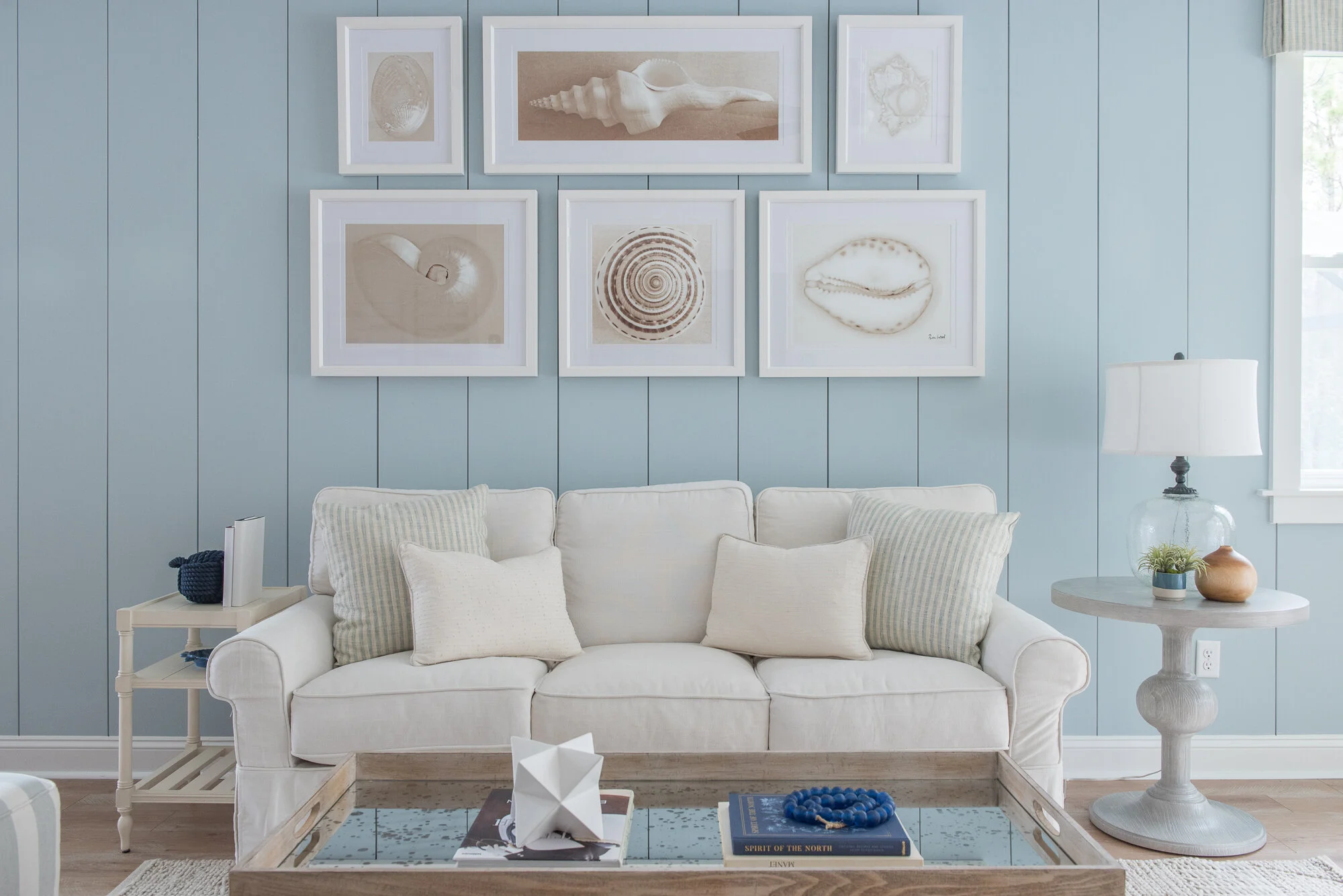 OCEAN MODEL     REVEAL