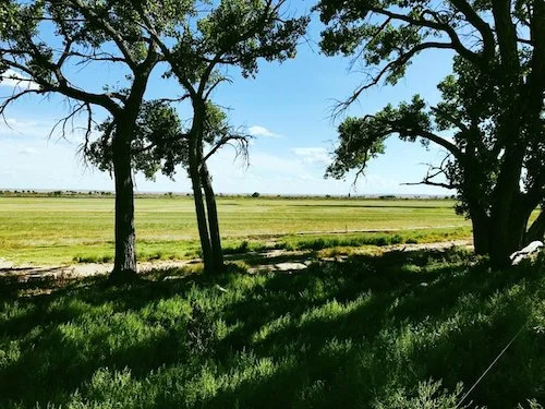 Ranchland31.jpg