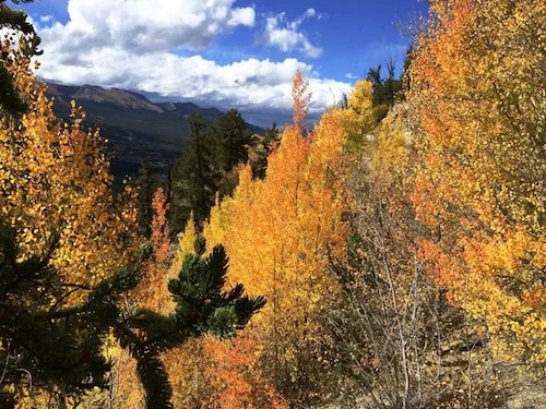 Mtns2a.jpg