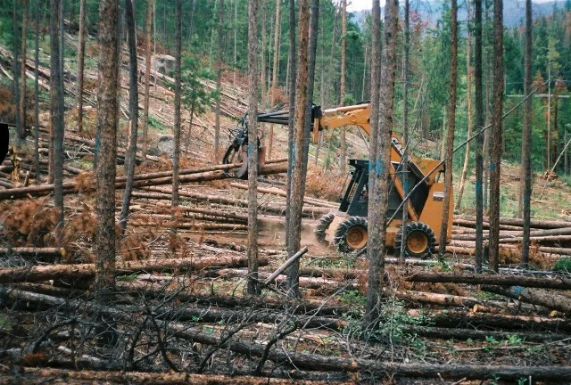 FL000019.jpg