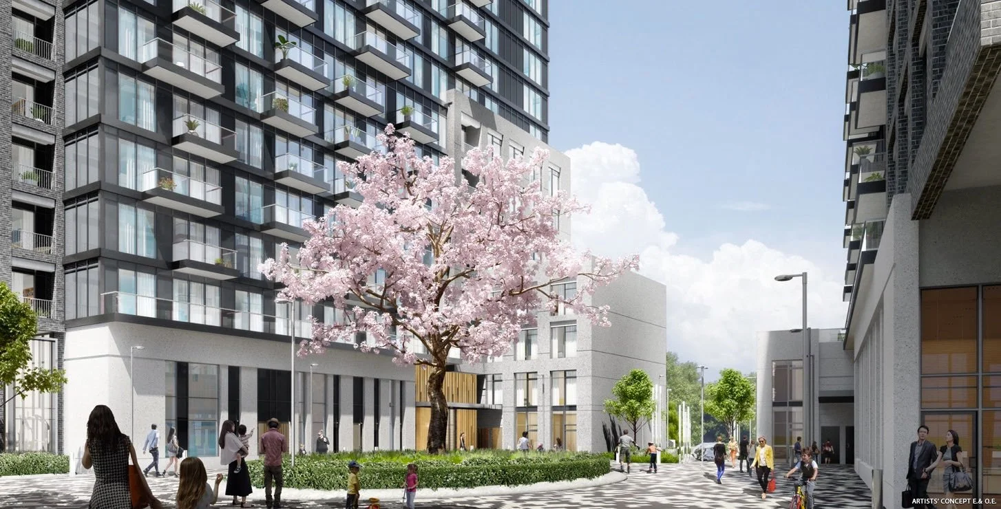 Westwood gardens_2.jpeg