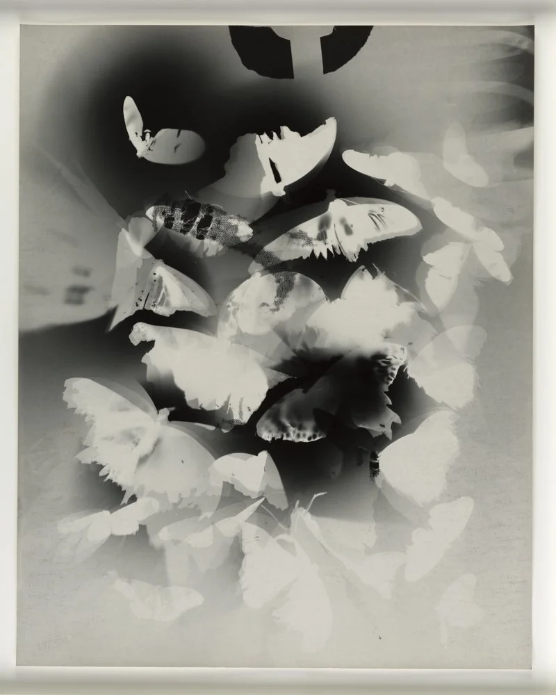 DFrazier_Photogram 129.jpg