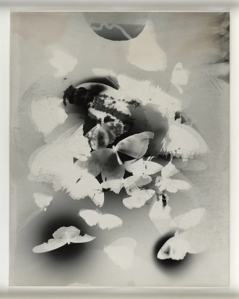 DFrazier_Photogram 128.jpg