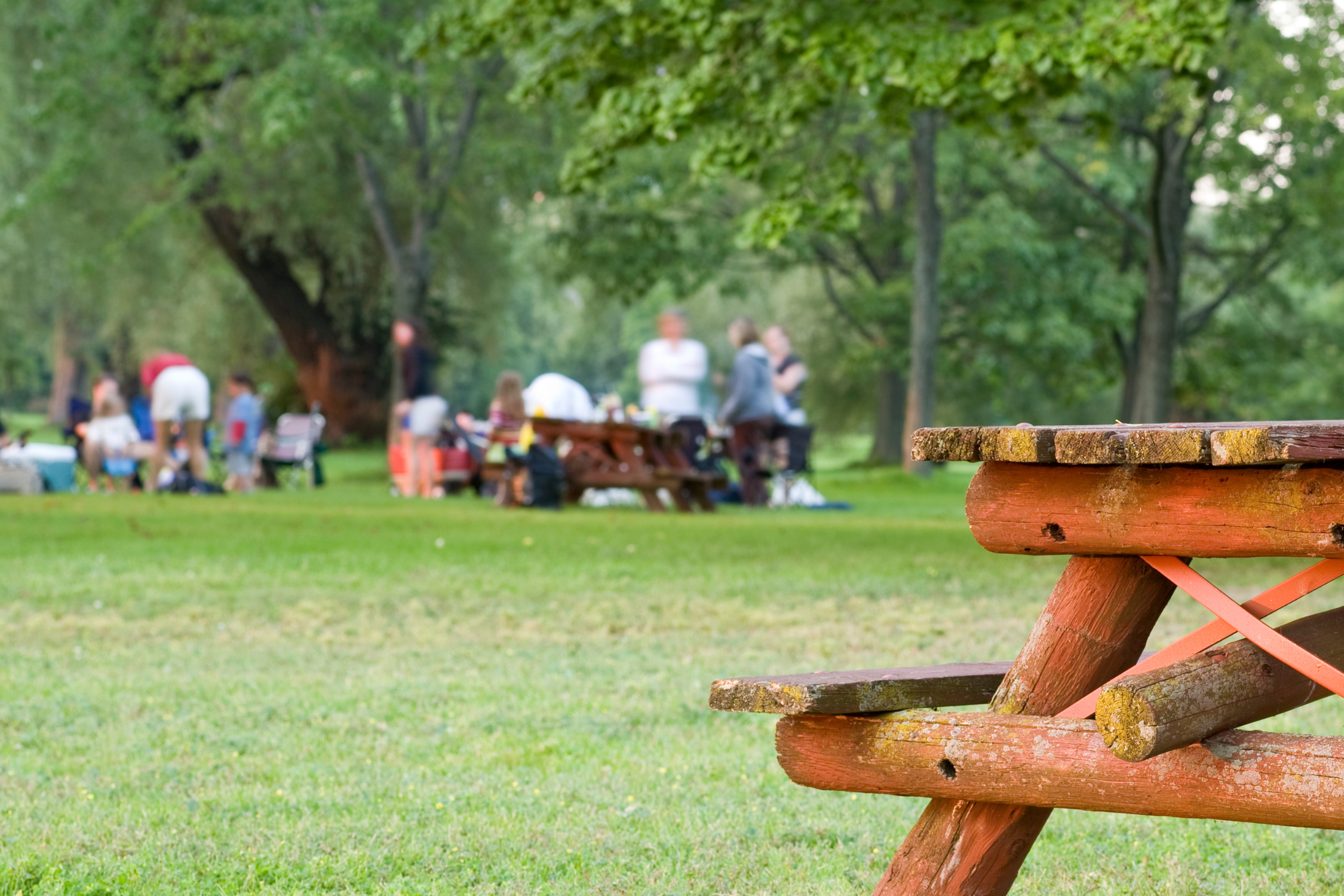 An image of people having a picnic in the park