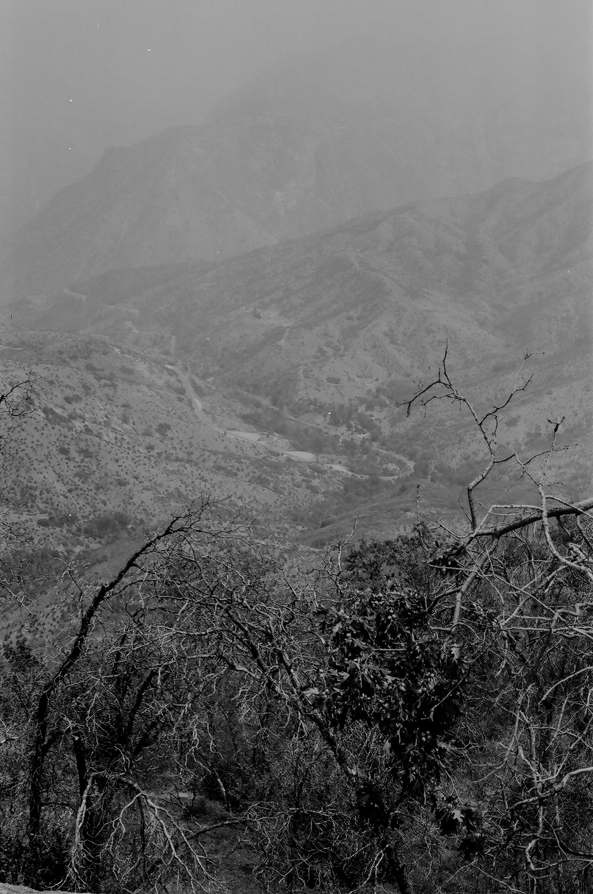 Analog-BW-3.png