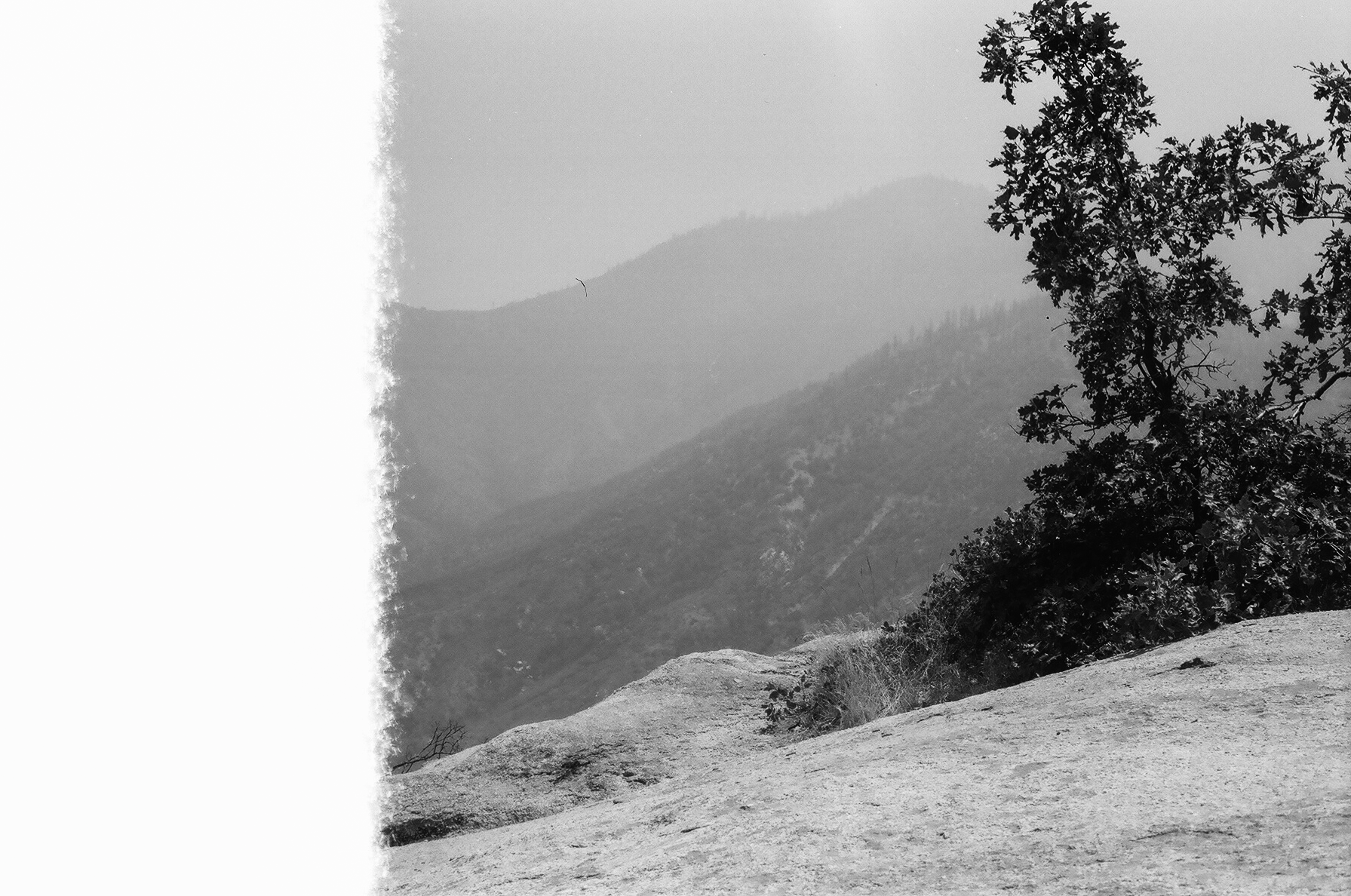 Analog-BW-1.png