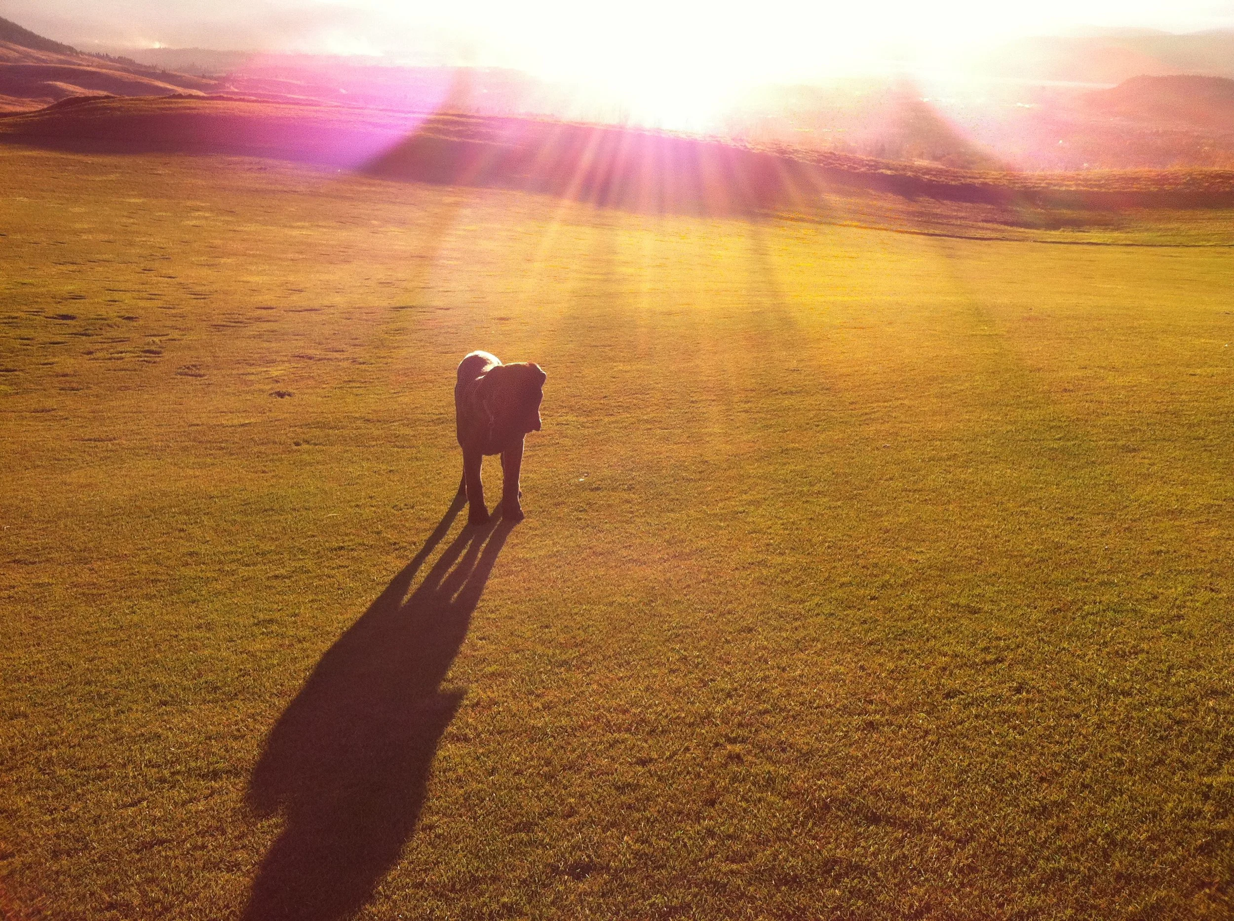 To lose so many of the things and places I loved.