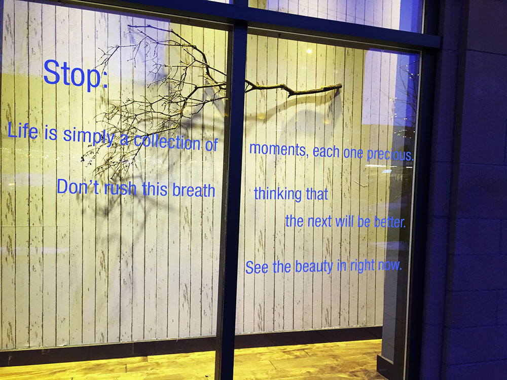 What you Might Not Know About Lululemon.