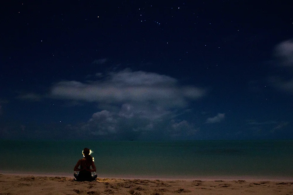 You Perfect Little Soldier You.