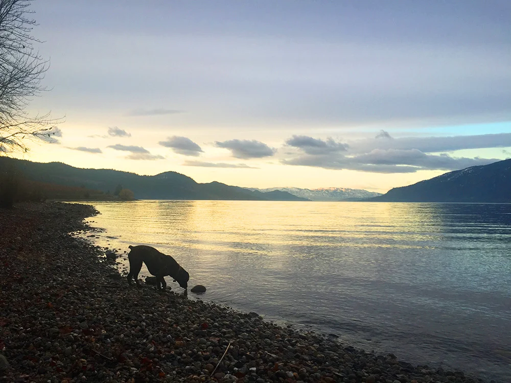 Unstick what is stuck.