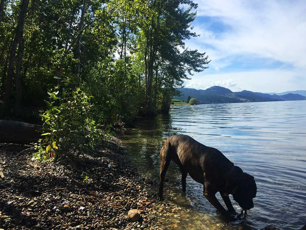 He Can Still See You. O I Hope Not.