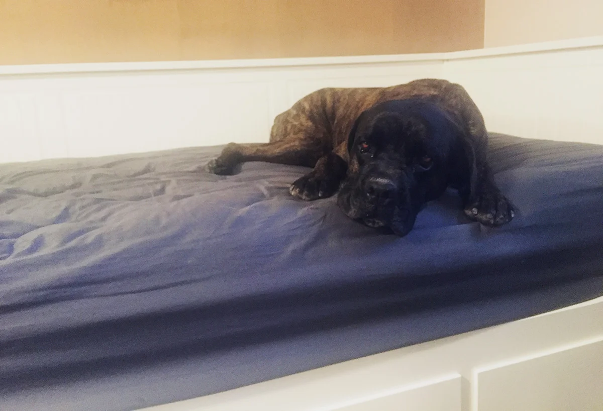 Still Falling For You.