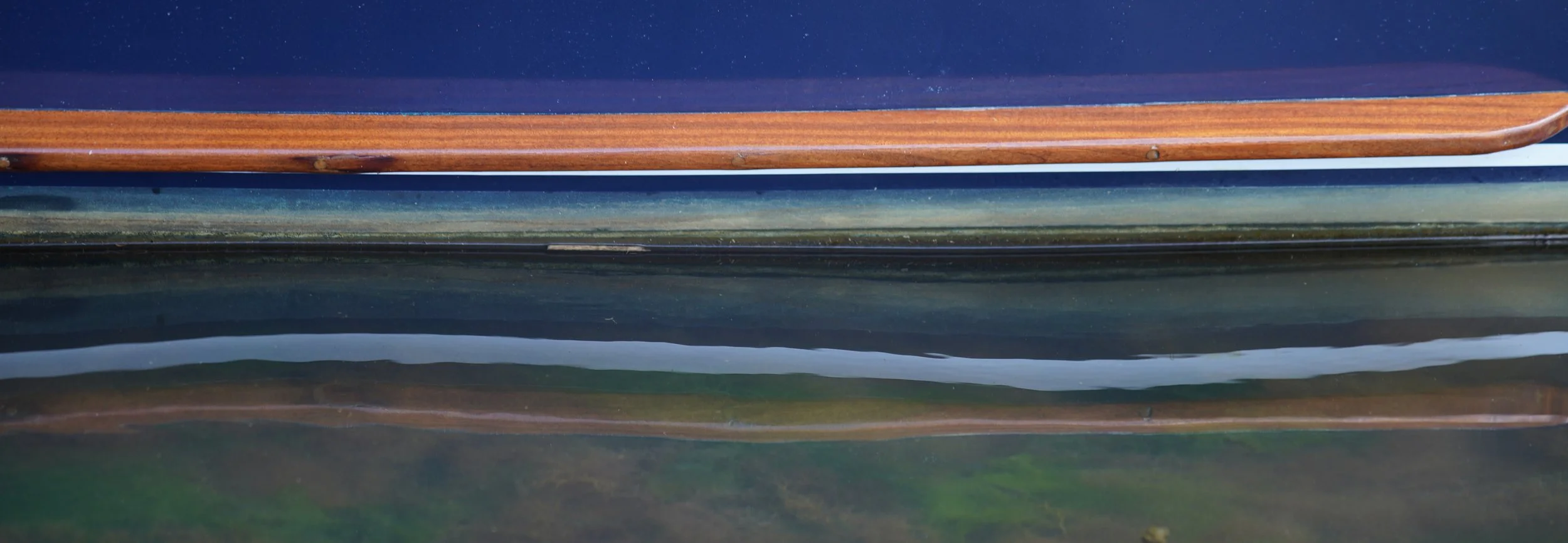 George's Boat 2023.JPG