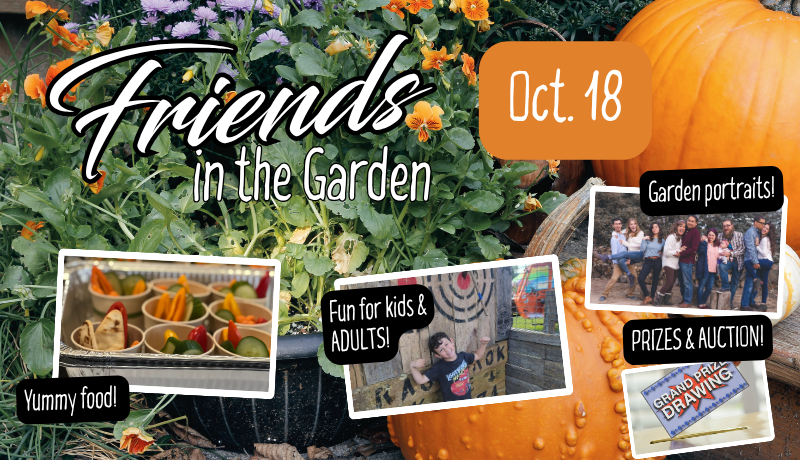 image of invitation to friends in the garden