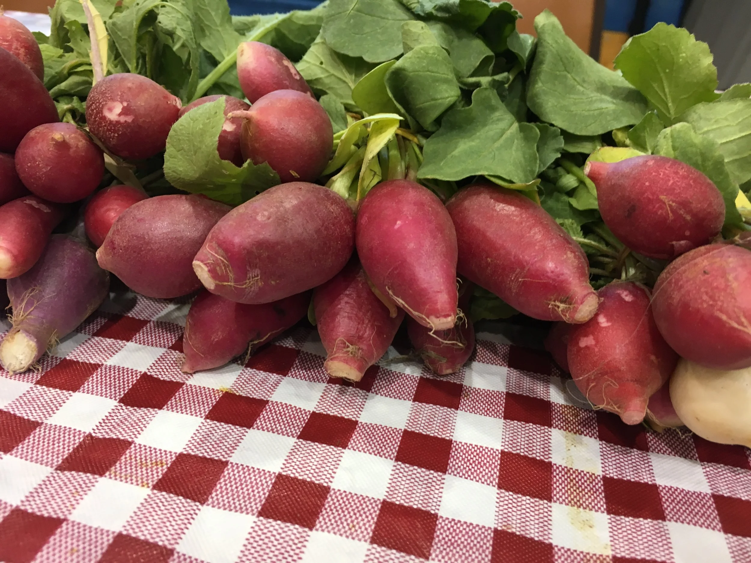 2018Dec01FarmersMarket (5 of 102).jpg
