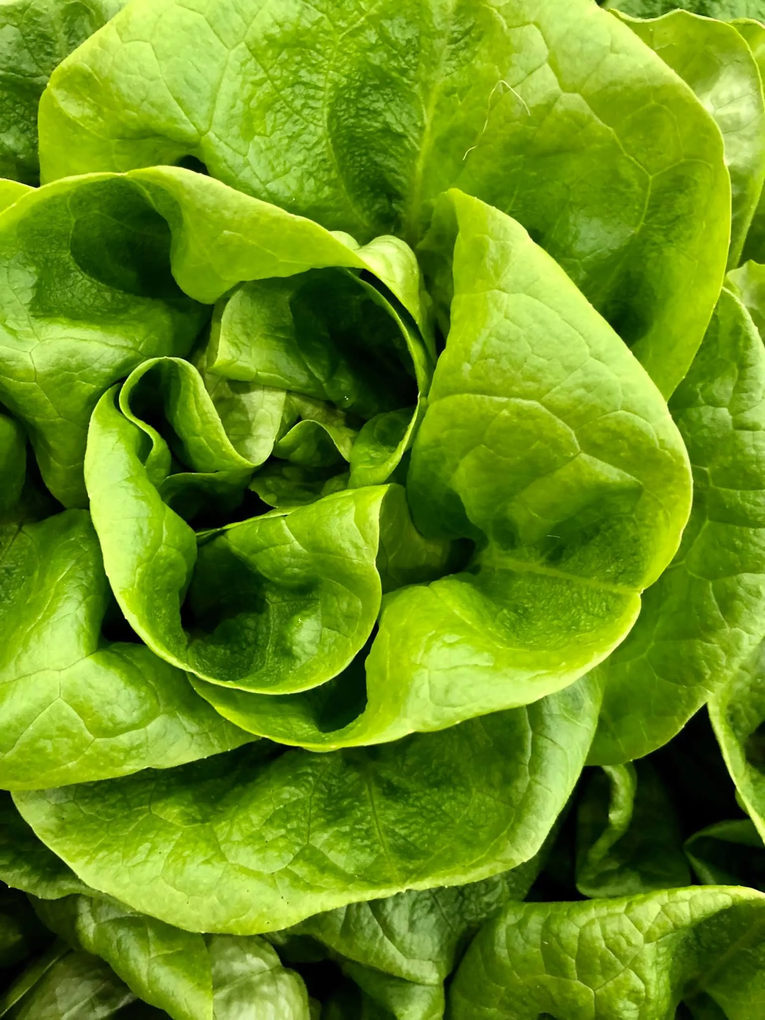 March 14, 2020 Winter Farmers' Market 