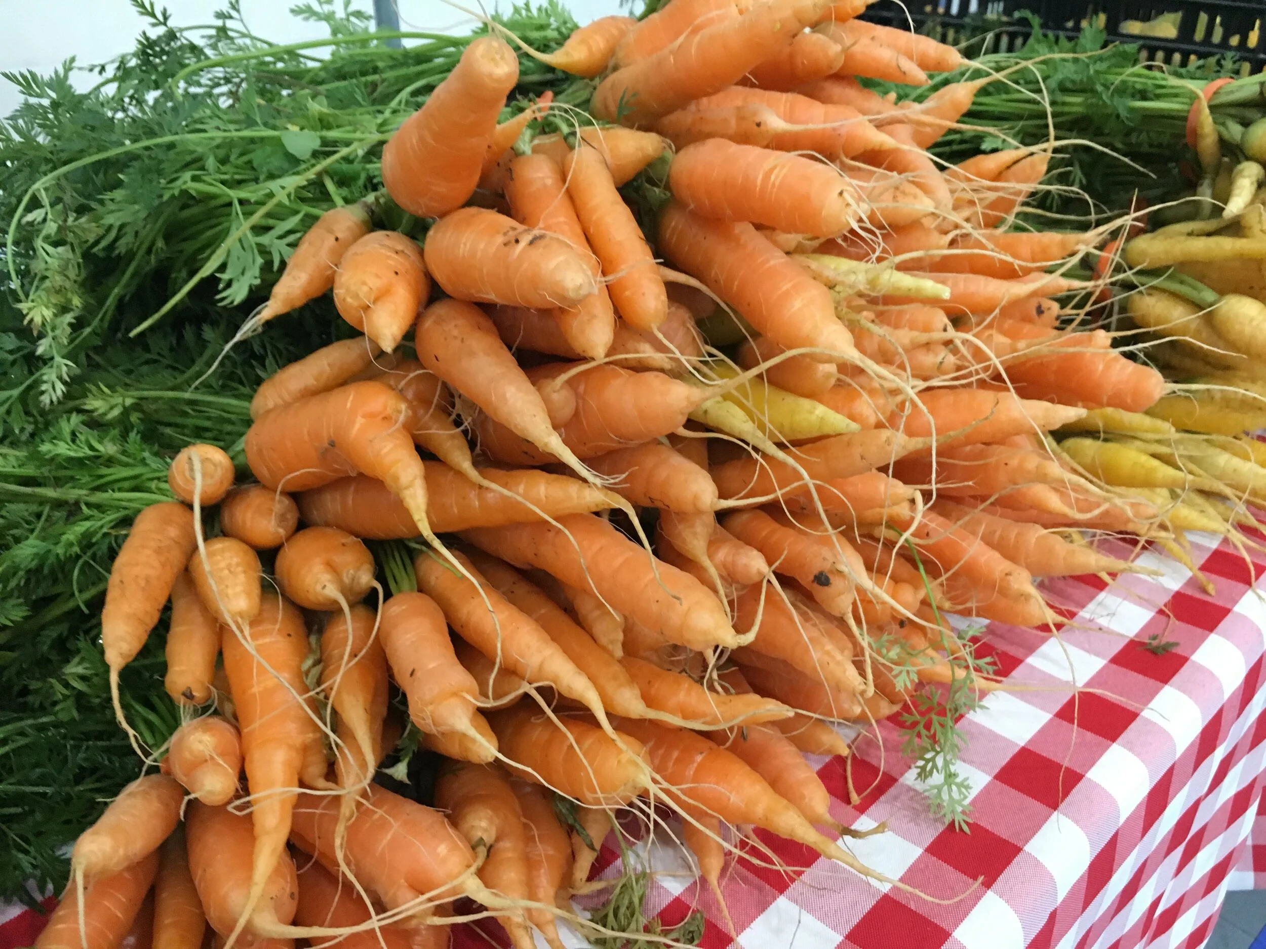 Jan. 18, 2020 Winter Farmers' Market 