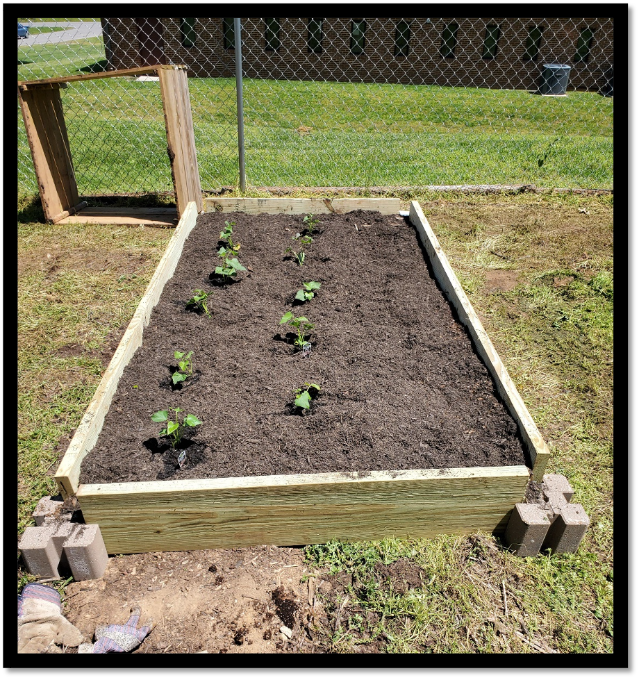 scarboro raised bed.png