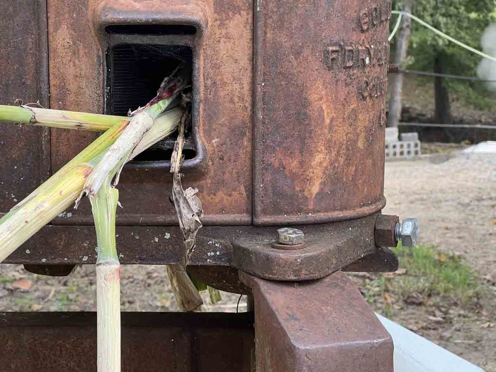 Antique sorghum press