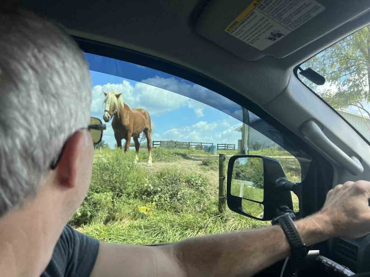 driving to Monterey