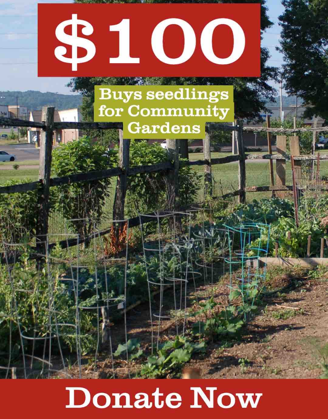 $100 Garden donation