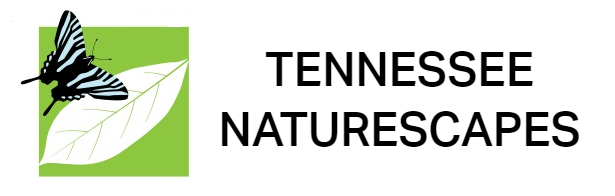 Tennessee Naturescapes logo 