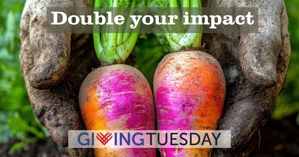 Double Your Impact 